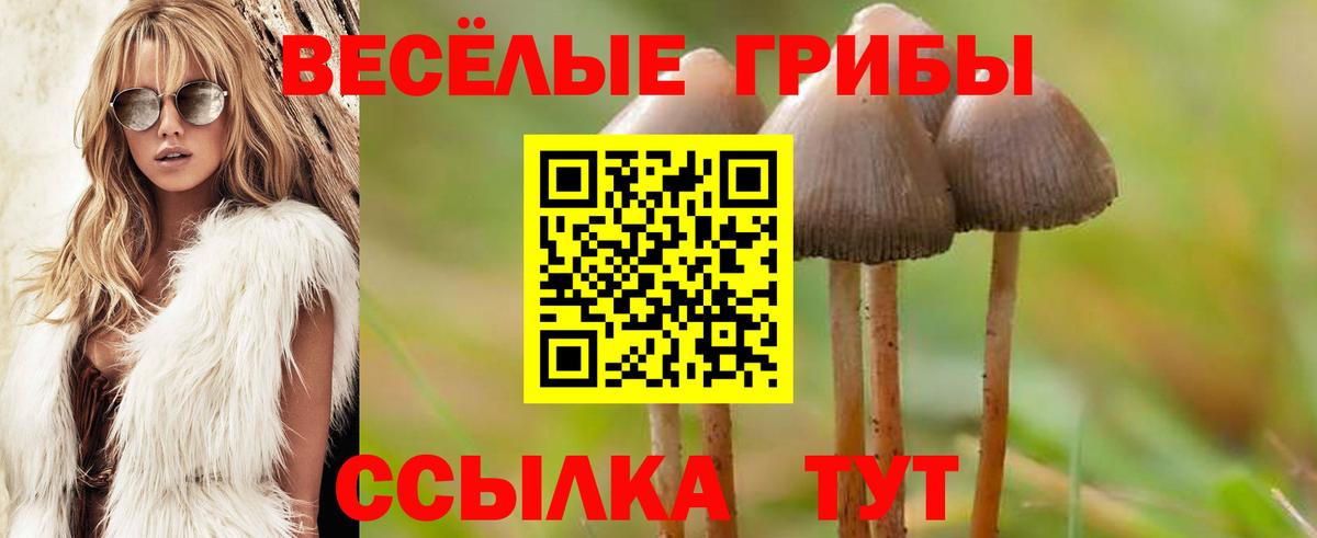 Норильск  Псилоцибиновые грибы Psilocybe  Галлюциногенные грибы мухоморы  Вход с VPN 